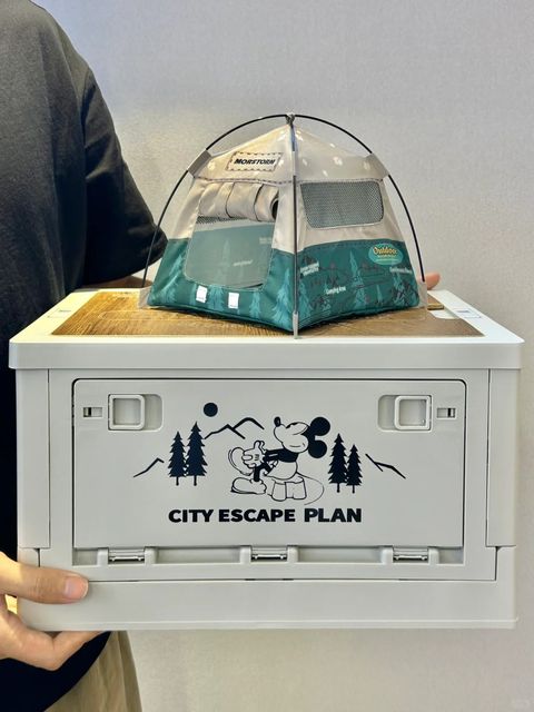 OMG打开就不想送人了…迪士尼露营箱套装爱了_1_MORSTORM魔力风暴_来自小红书网页版