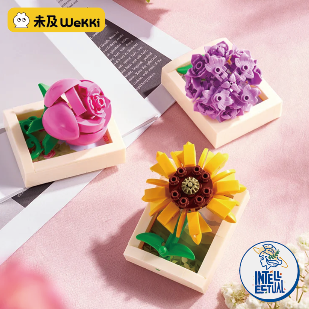 WX20250521-154018@2x