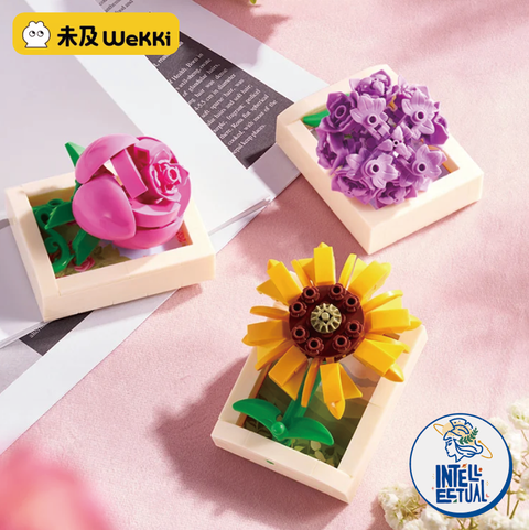 WX20250521-154018@2x