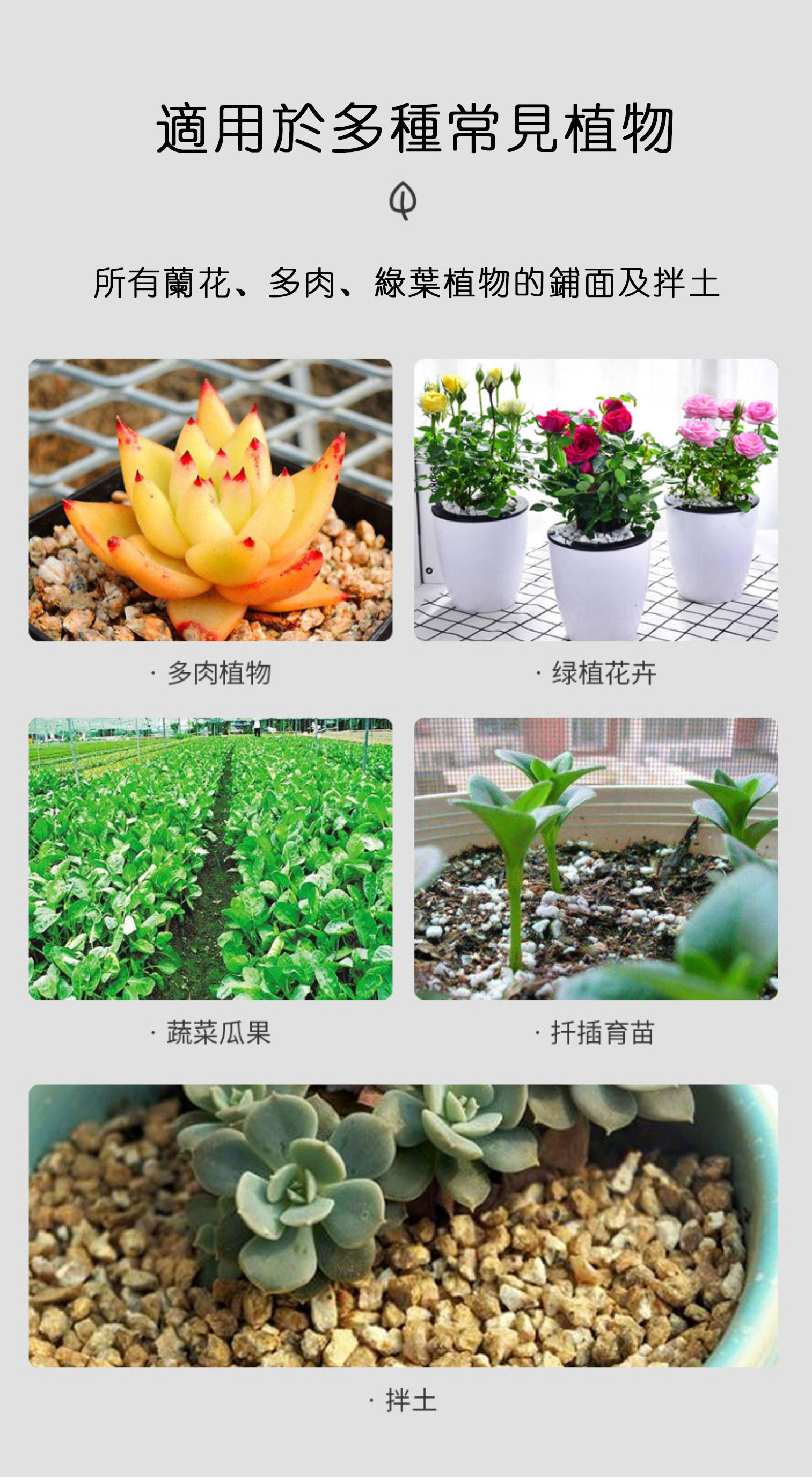 分解圖5