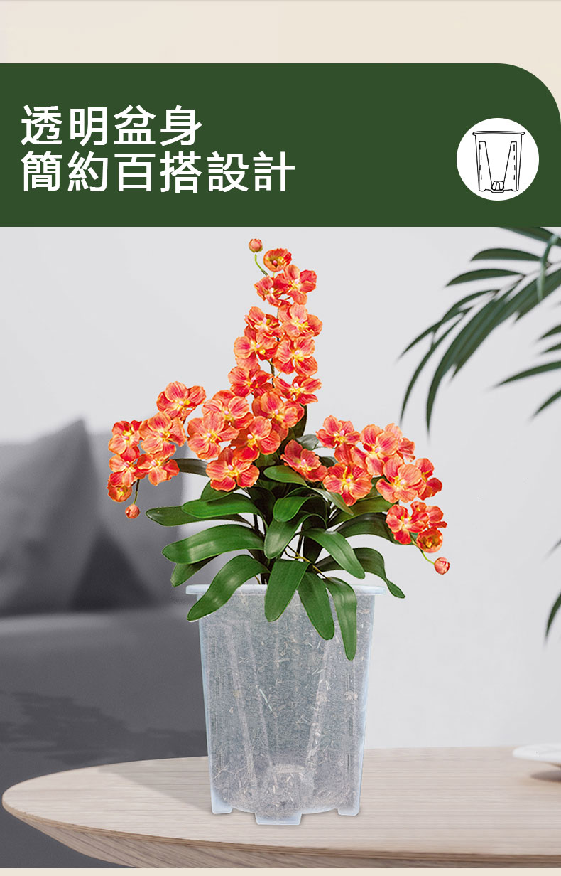 圖11