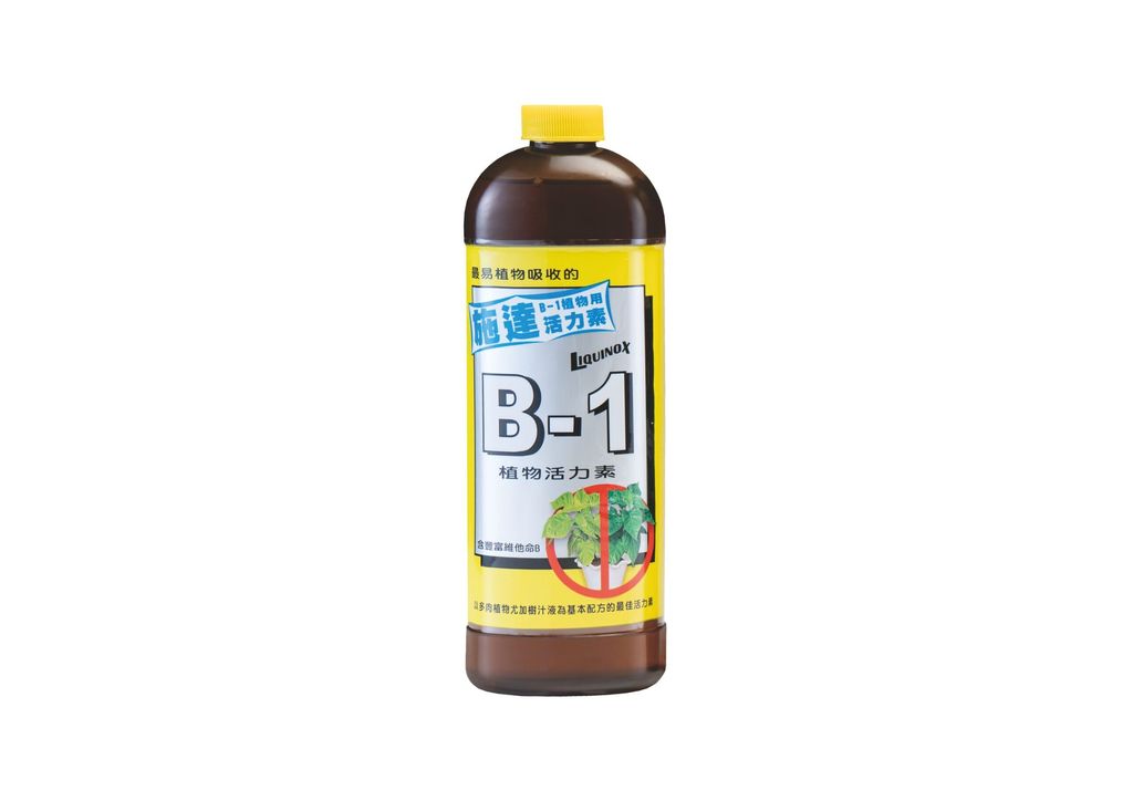 施達B-1活力素-scaled