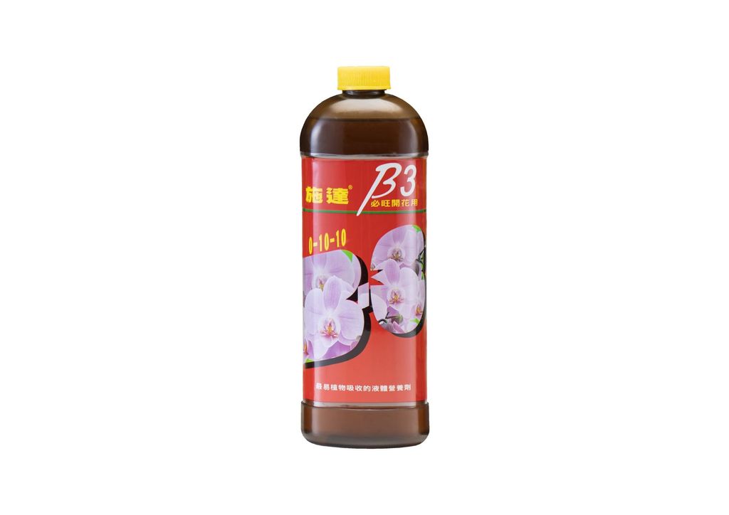 施達B-3開花-scaled