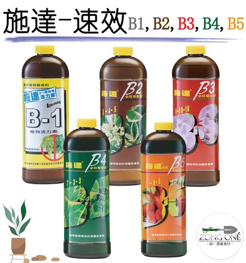 施達-02