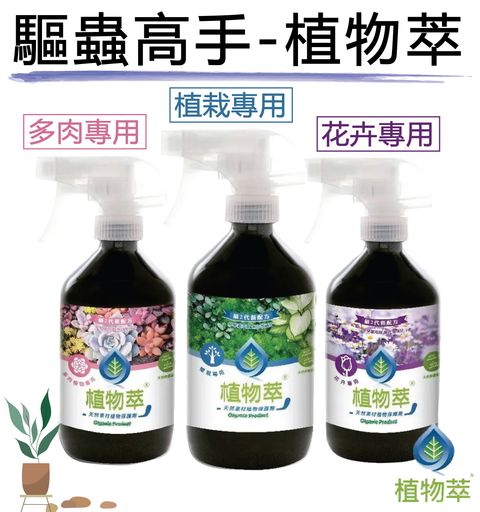 植物萃主圖01