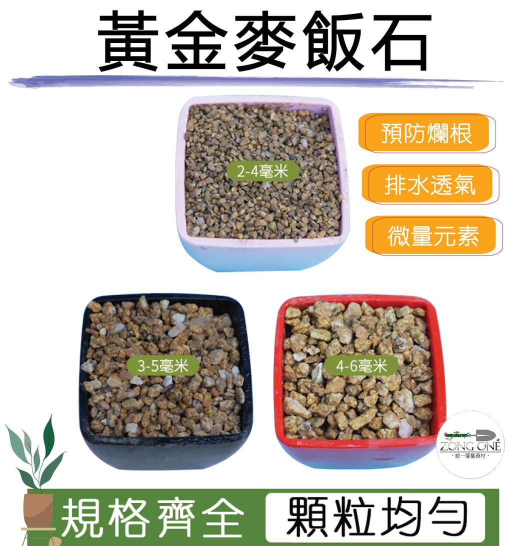黃金麥飯石主圖01