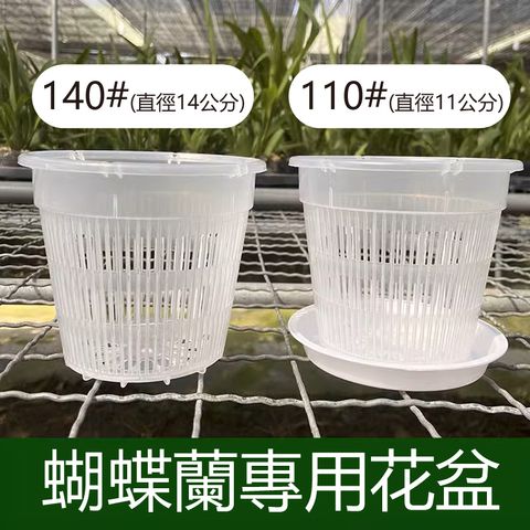 主圖
