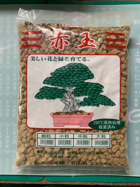 中粒