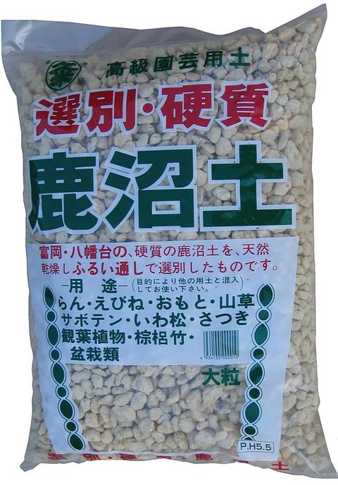 大粒圖1
