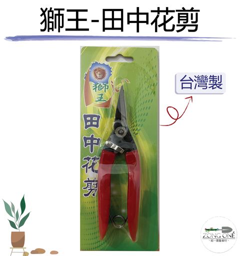 獅王花剪
