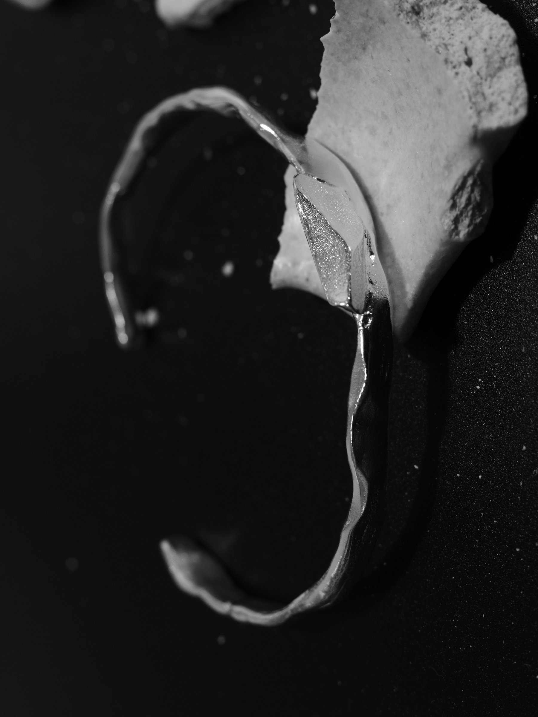 image_29628925-C5D4-41CB-8EC5-C75B71C177BD_1790486072