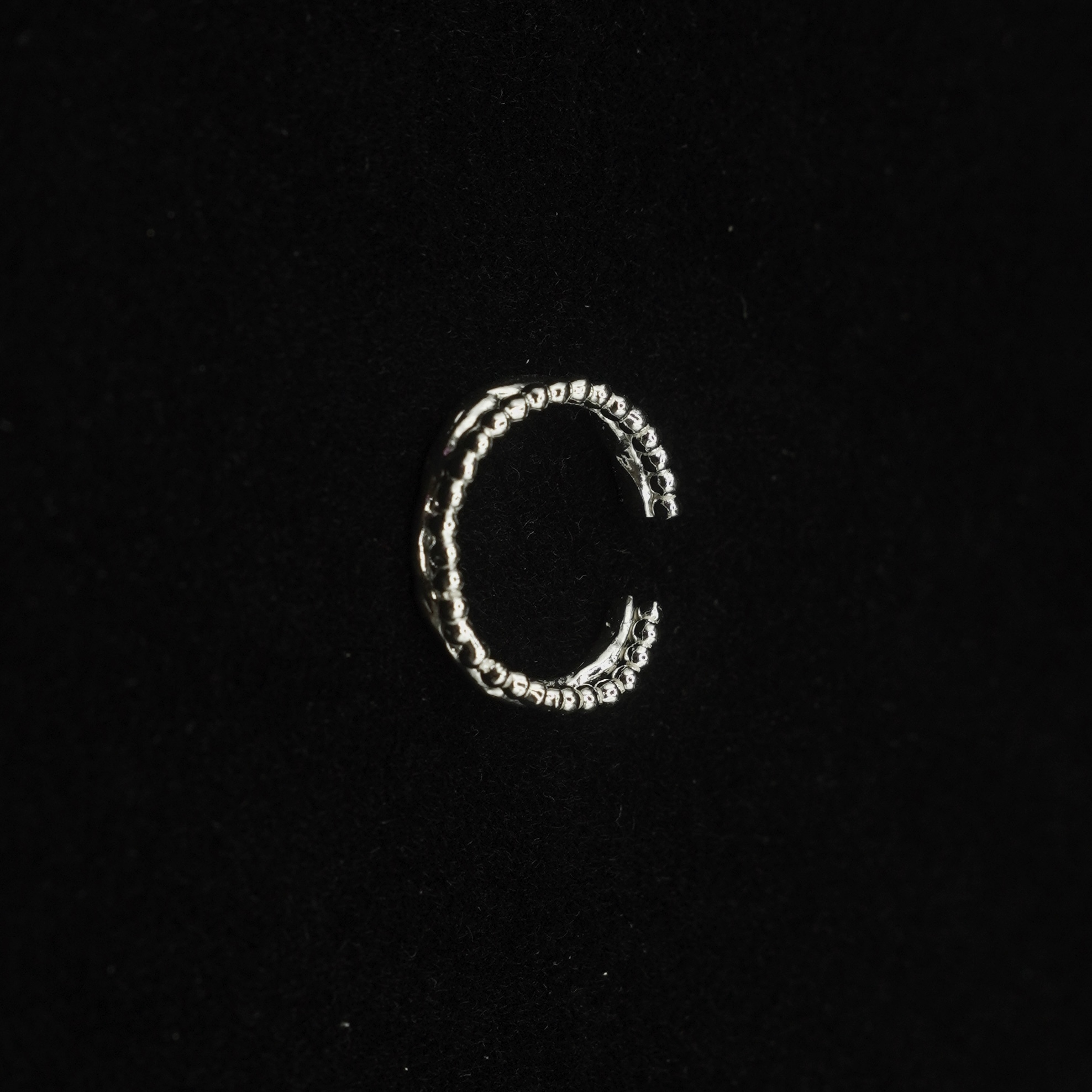 image_C03D1122-7794-4ECC-B370-FDA35695C073_1759200694