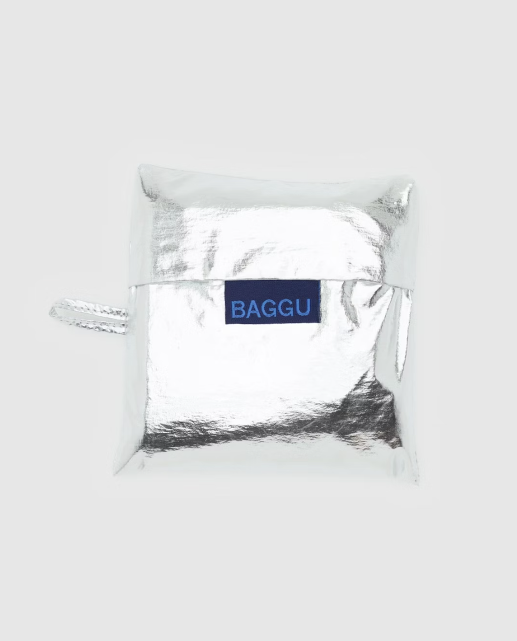 Standard Baggu - Metallic Silver4