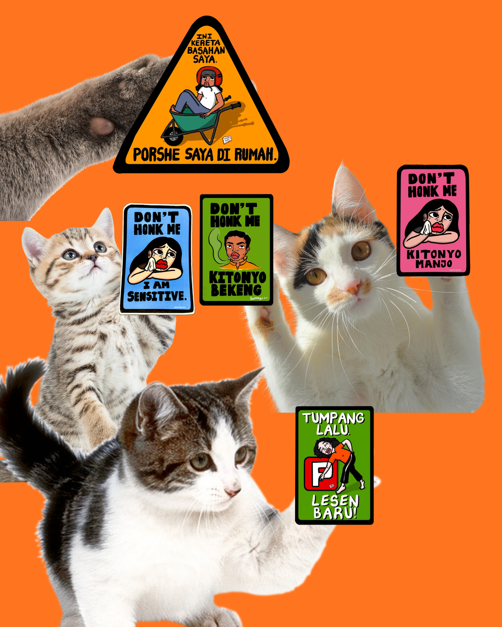 image_65557525-2340-4C52-A363-55D0099F5CE4_1770048665