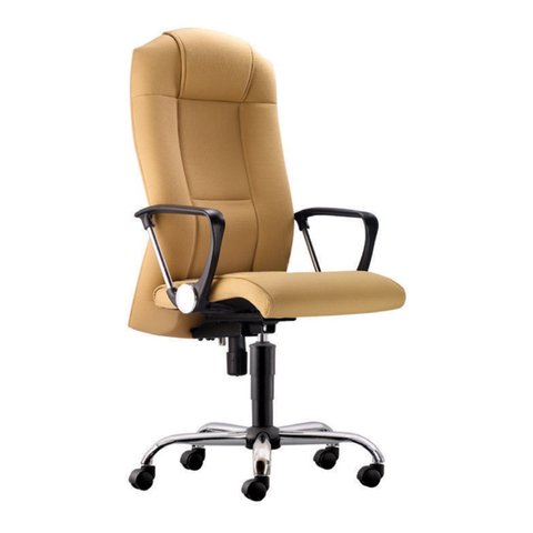 EX-100 DIRECTOR CHAIR
