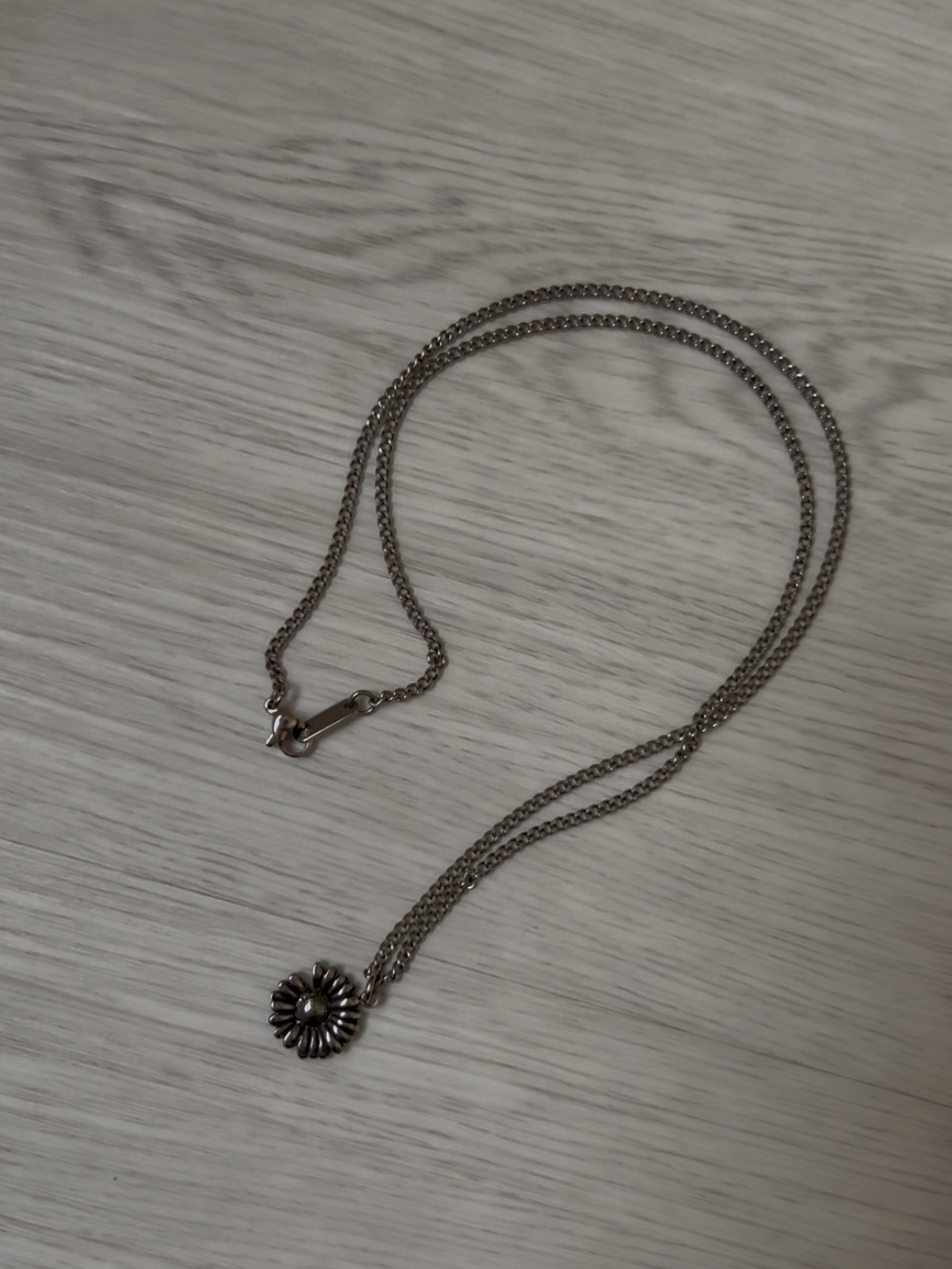 image_E2E87D75-AB07-4645-B947-FAD9BF37AEC5_1762113306