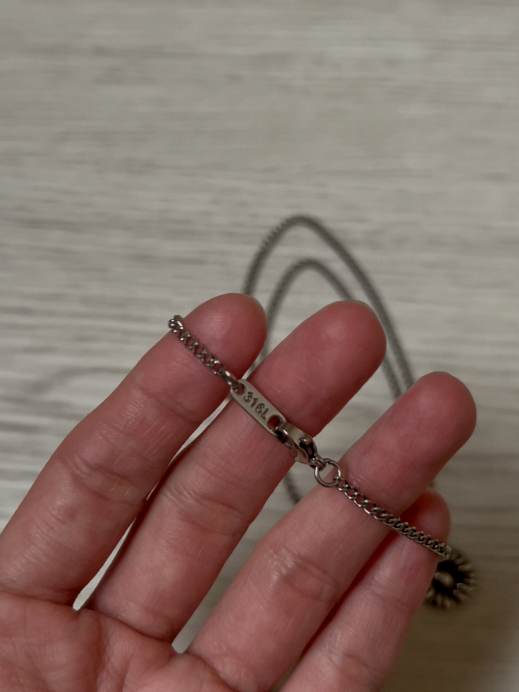 image_9DCED826-EBB7-42A5-BC06-7B7F3B71CF71_1762113306