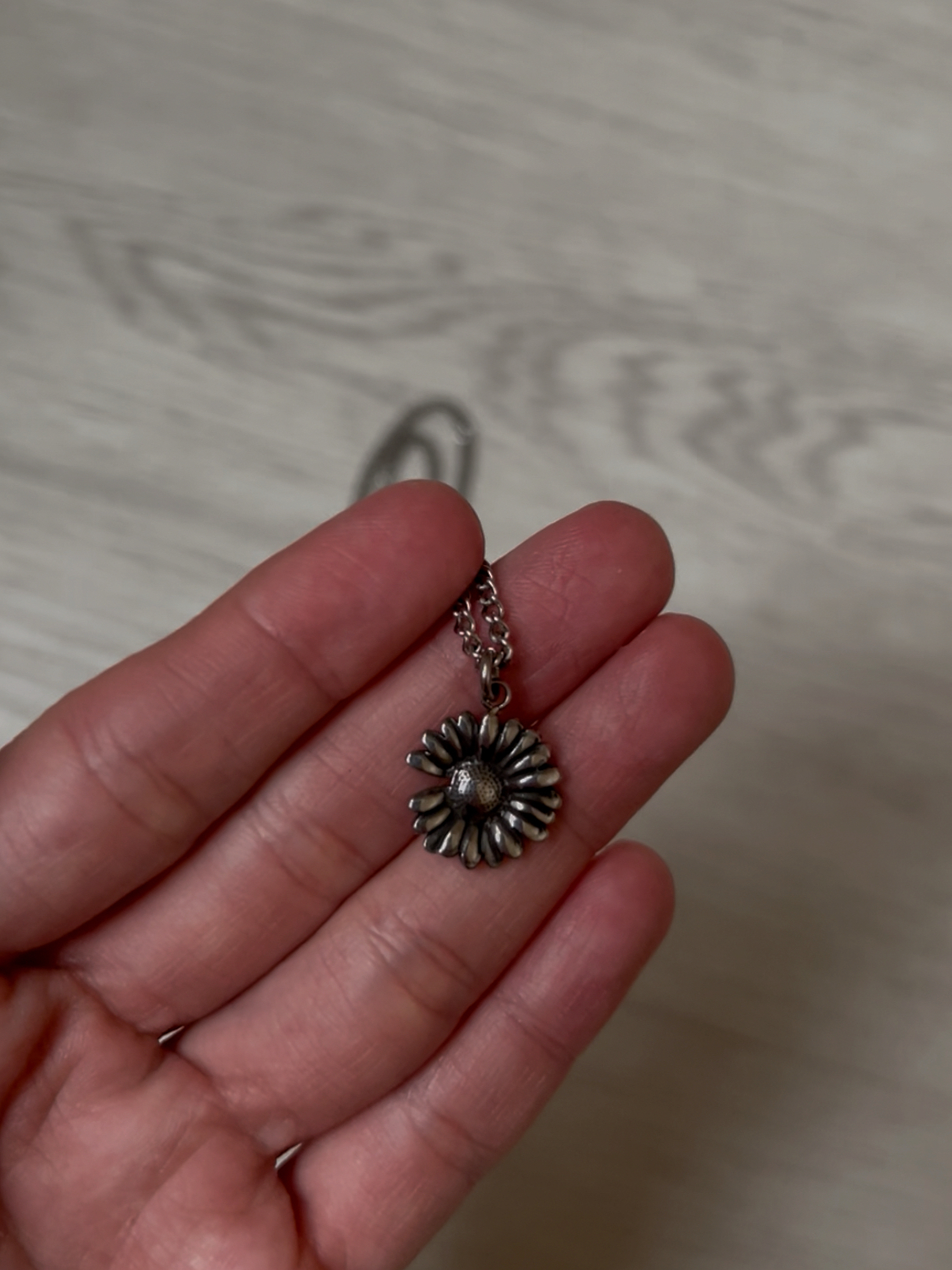 image_E39FFC4B-9329-44C0-B95A-08CF97767F48_1762113306