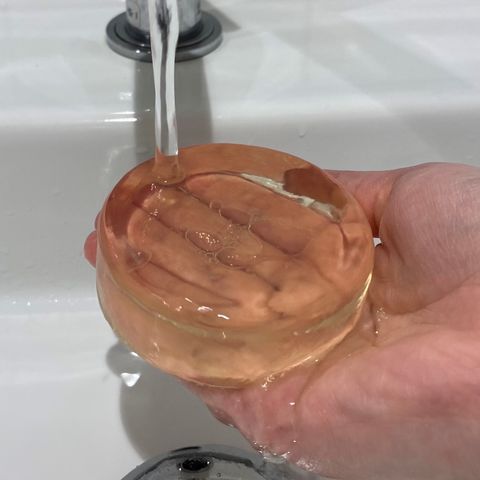 image_55C7D20C-EF4C-4737-B01D-53B228CE1B4E_1757761732