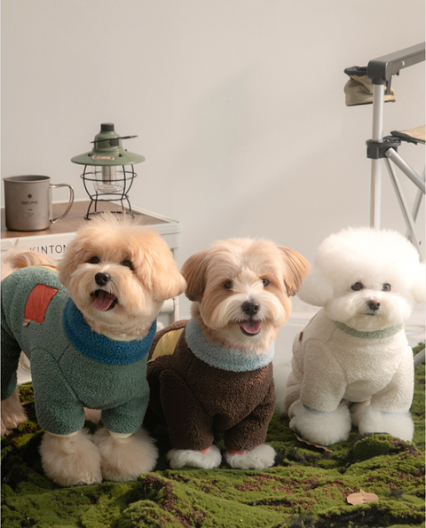 截圖 2025-12-03 上午9.43.57