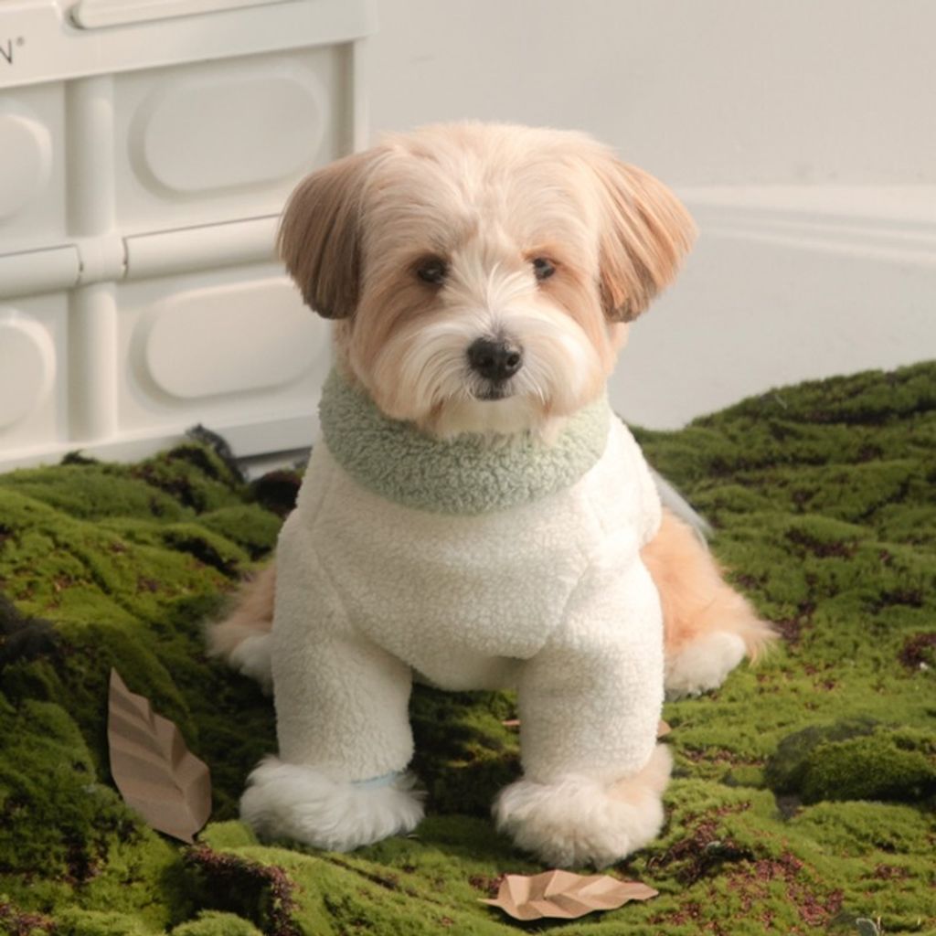 682fe241162f644b0f672be668d9d73b