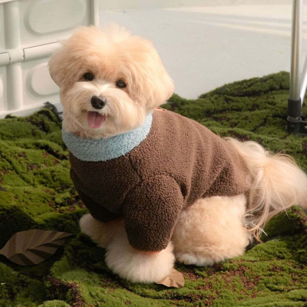 3ea79b0a8ce3377f5cc72fc0d1a7cfad