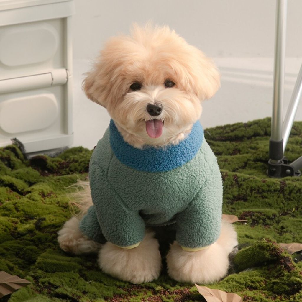 833f084ed2d640f0697c261ccd802a7a