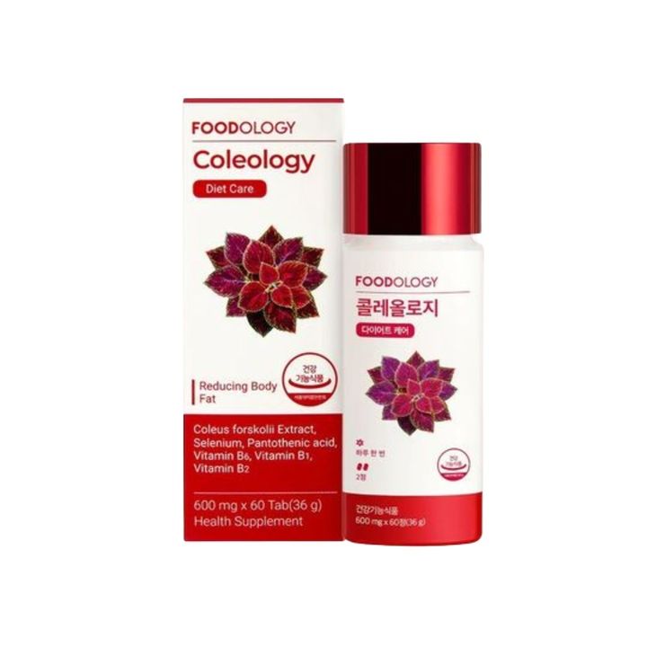 FOODOLOGY-7