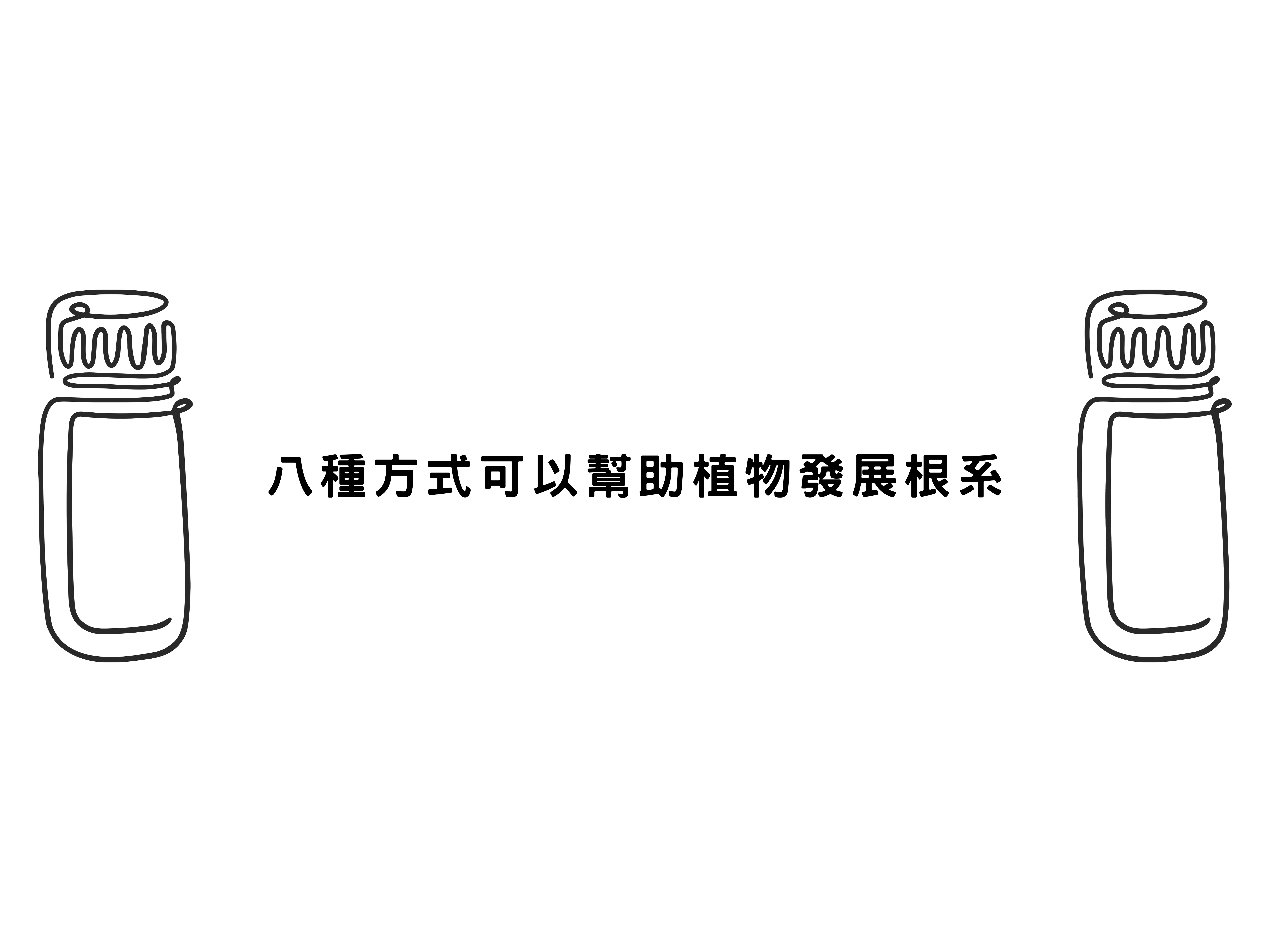 八種方式可以幫助植物發展根系
