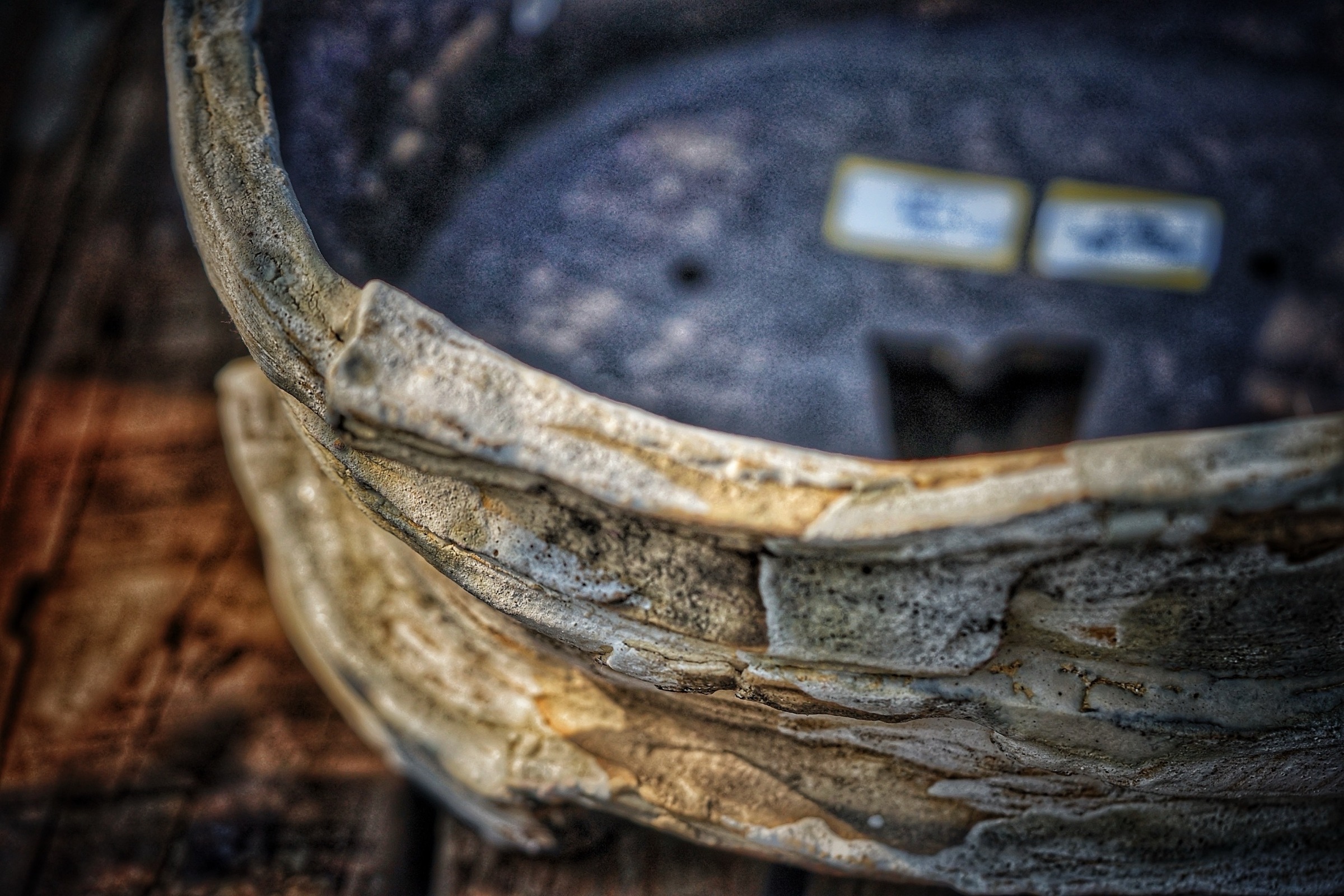 image_A455F200-0CFC-4396-A097-EFB6C8F83523_1776234880