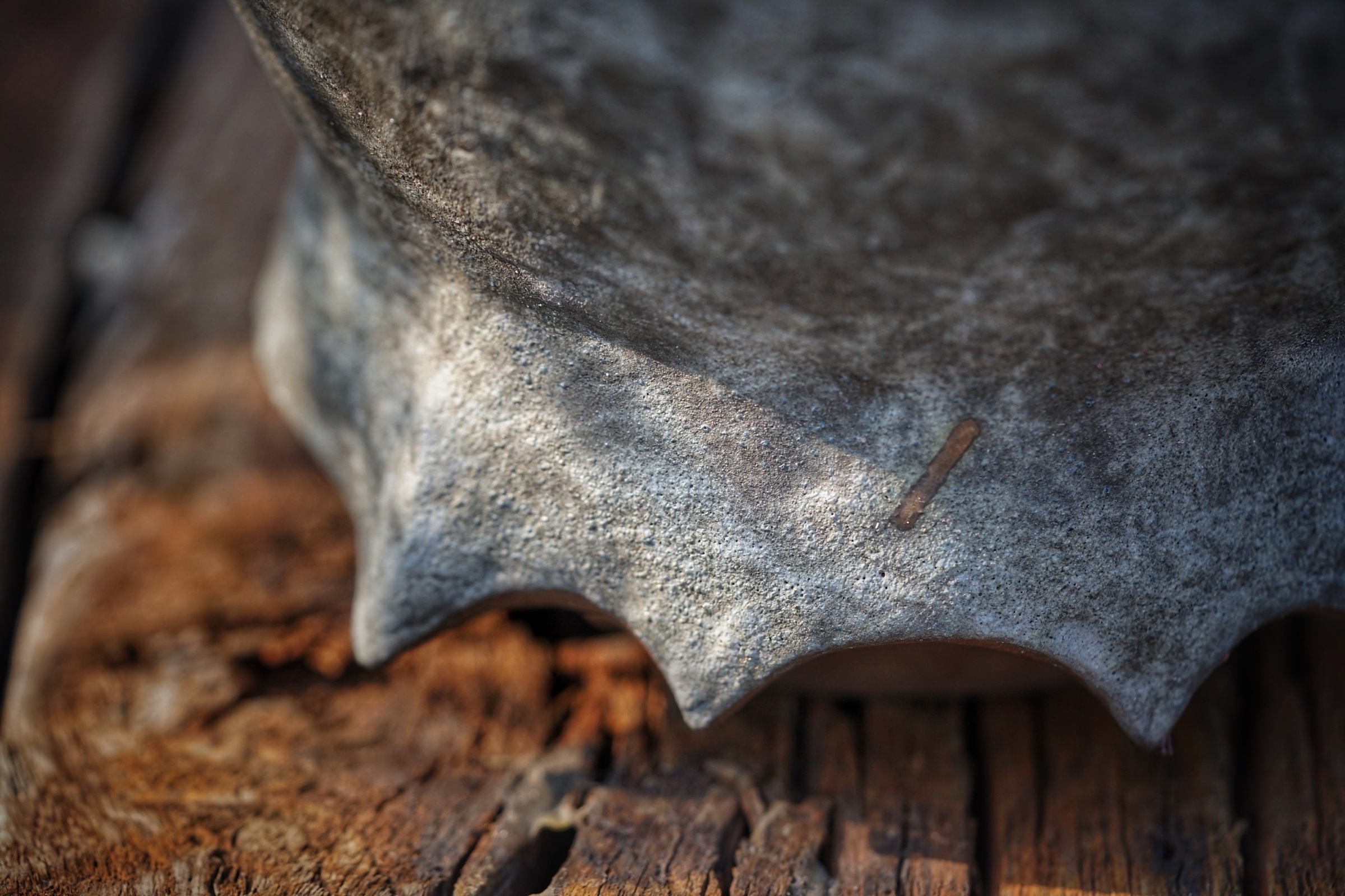 image_5562A6AE-9100-42FB-8A0D-9DFF43EB57B8_1776235845