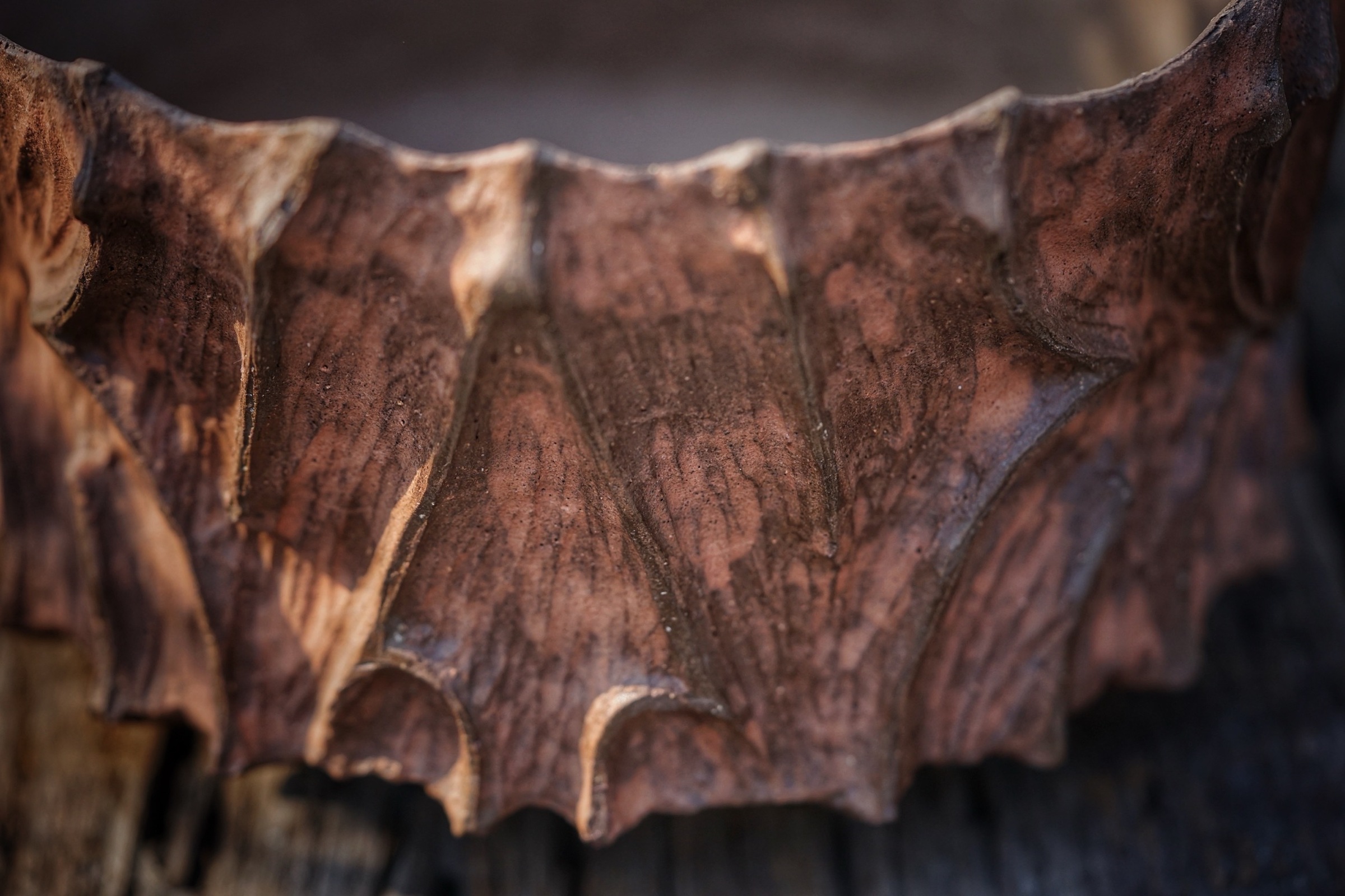 image_91669FED-EBDA-4C0D-829C-A8919DF5EF45_1776236079