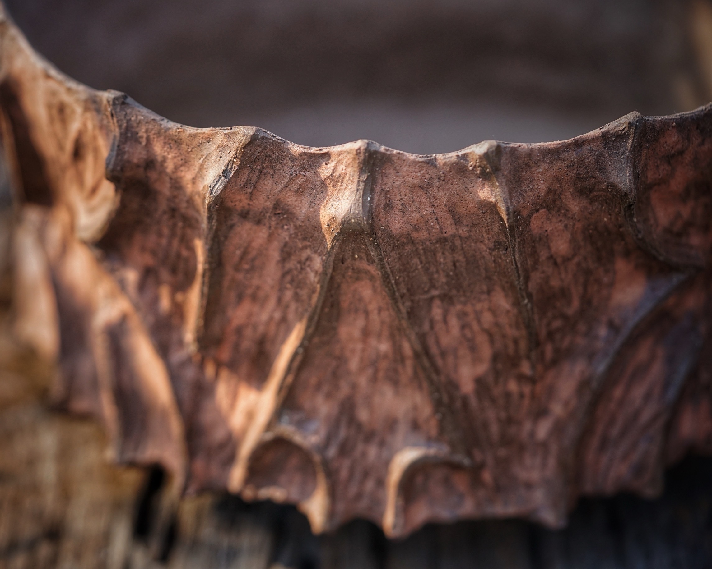 image_54BE4A2E-9A48-4441-B817-5A4659E3393D_1776236079