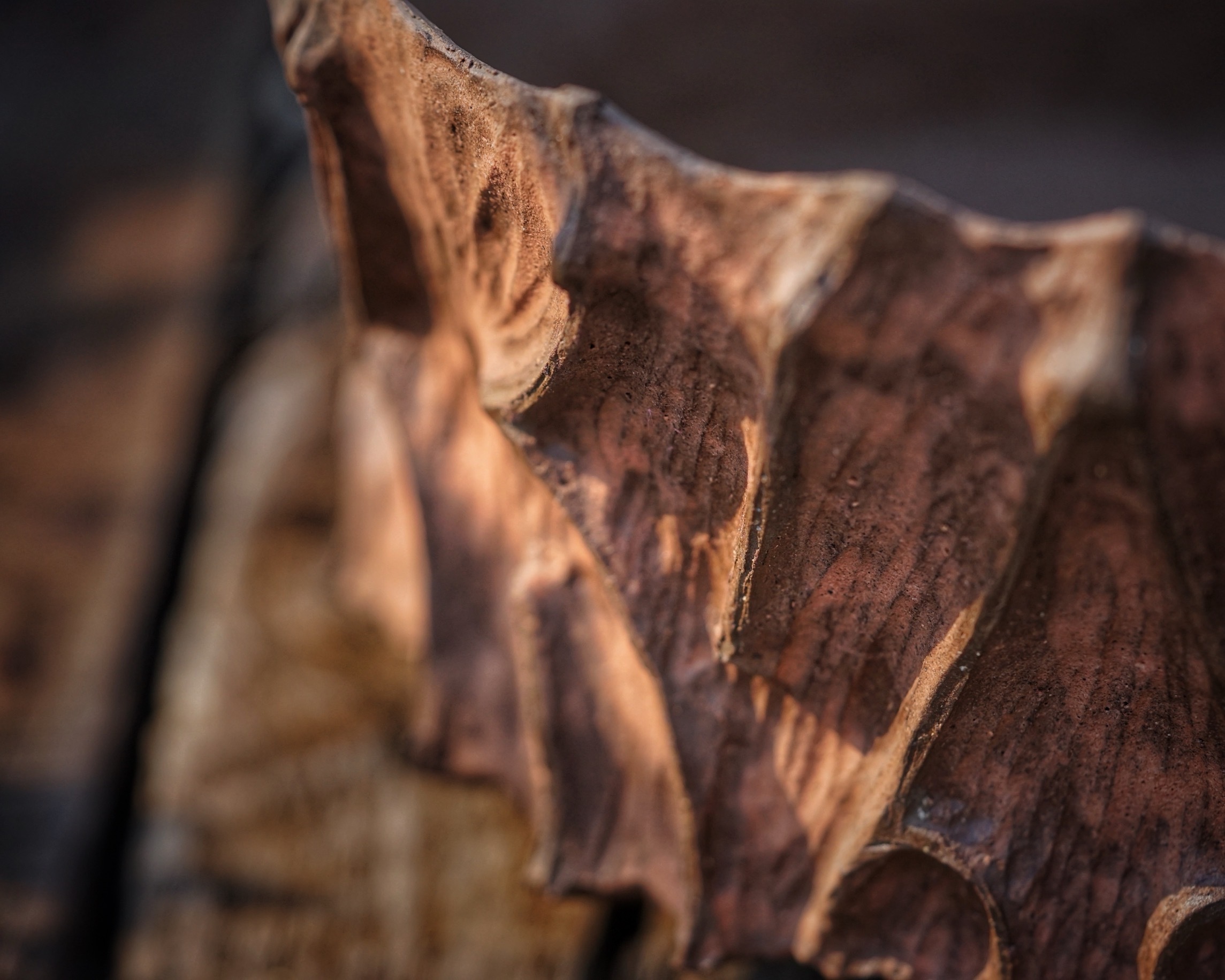 image_8026EF3E-D34C-4003-9D86-5C80202B2793_1776236079