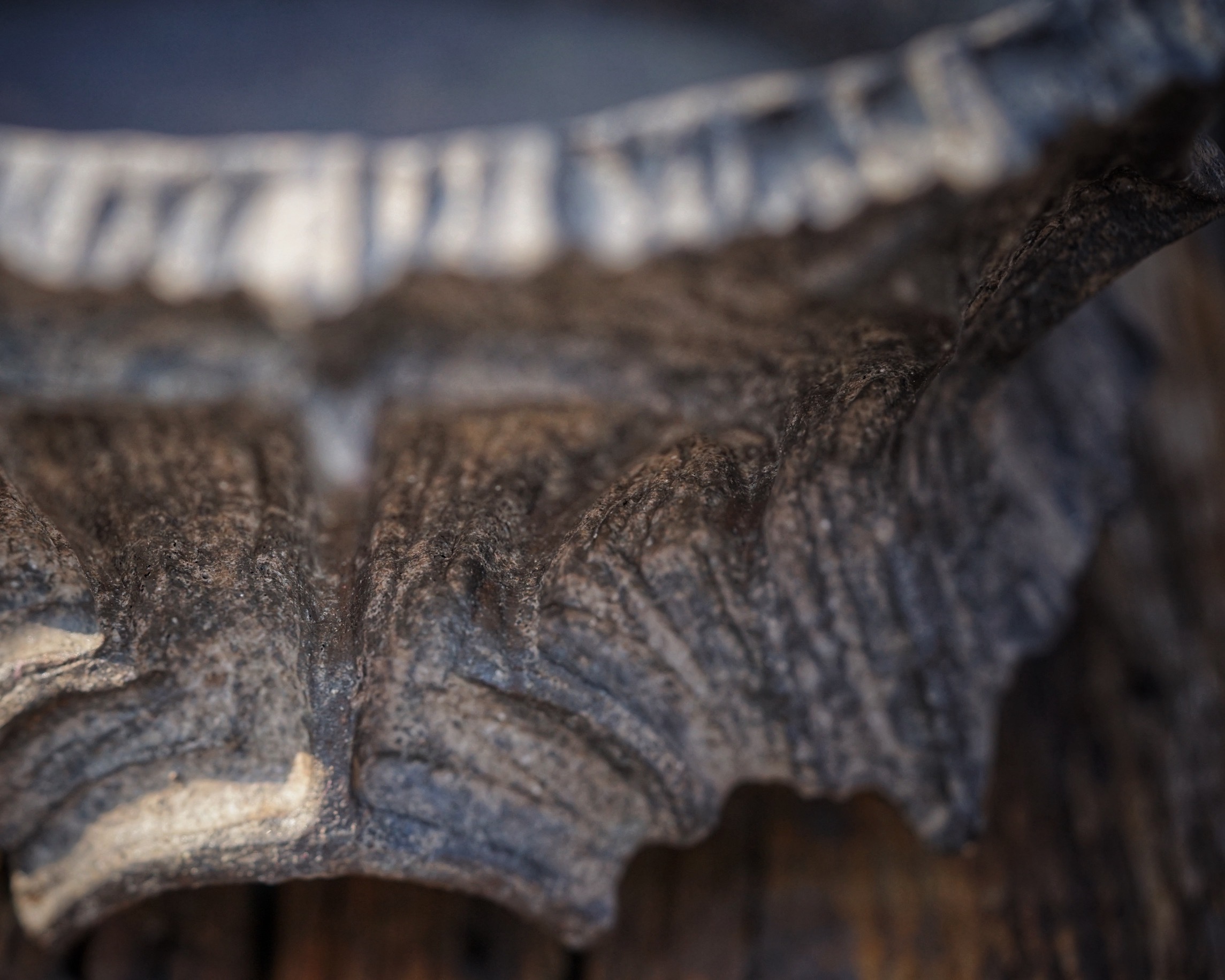 image_02972B14-68FE-420A-8FB7-6845B07BCEB6_1776236283