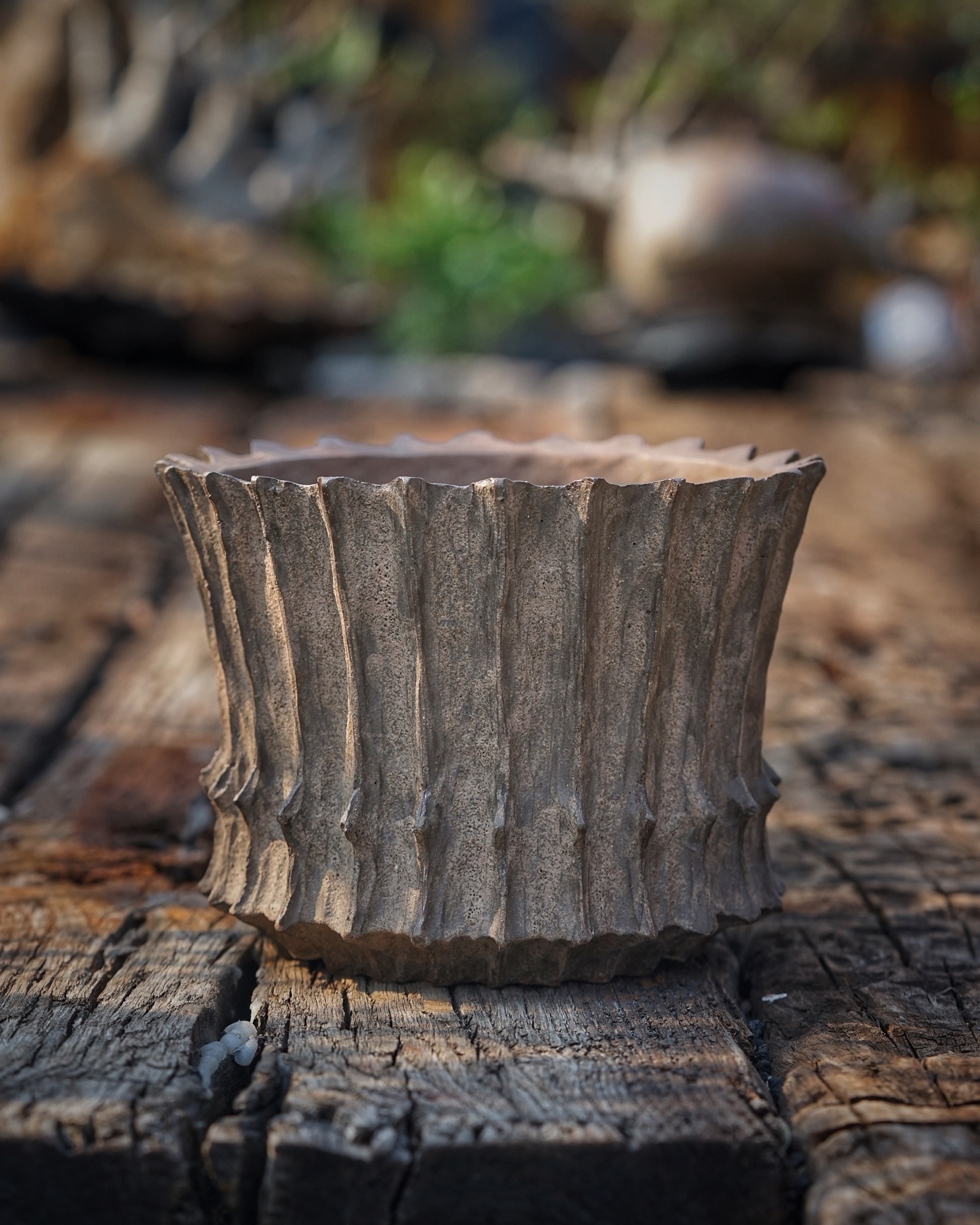 image_7B68B3D5-3463-4980-9680-9DC7C0EC837A_1776236446