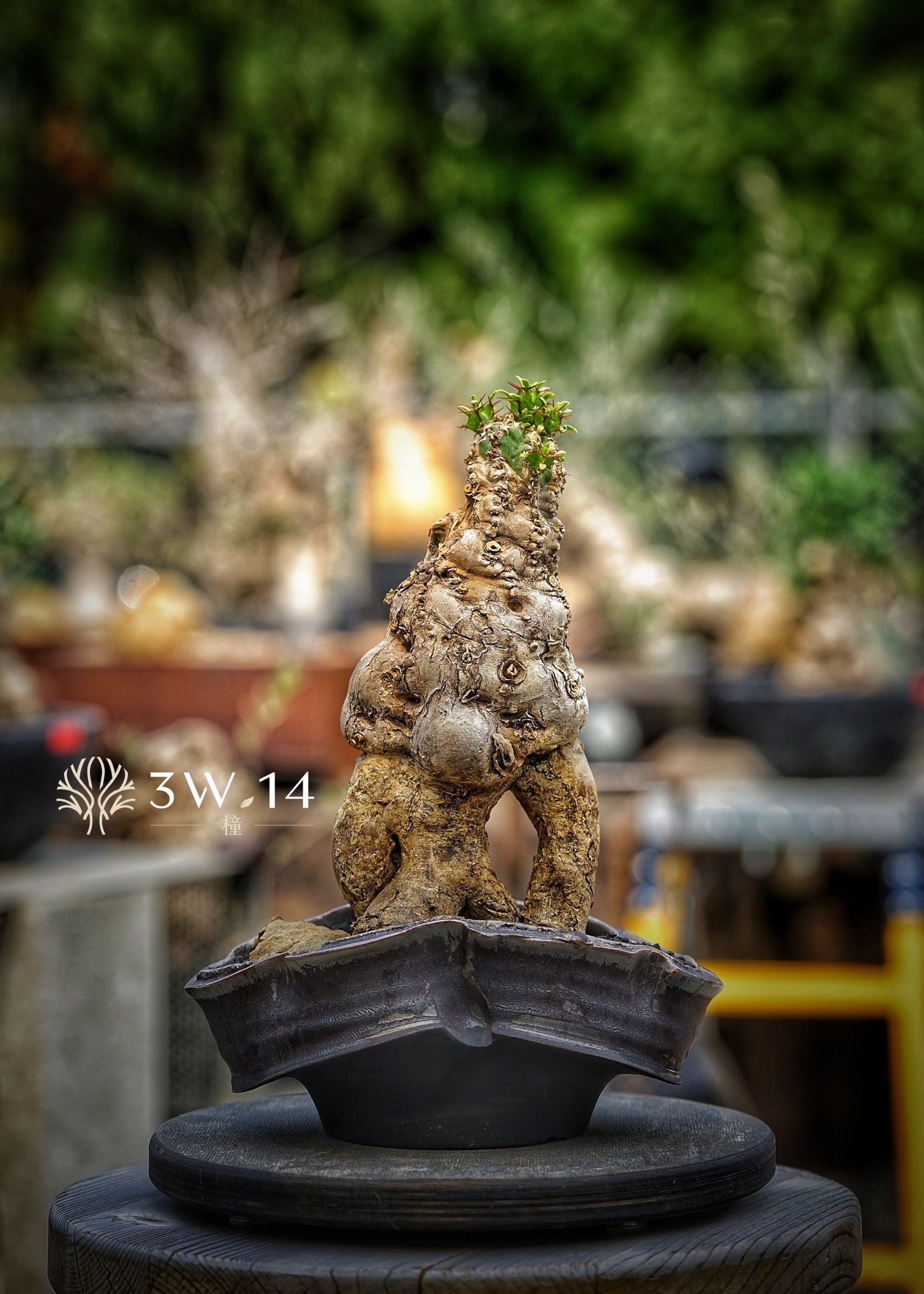 image_66AA1BF7-1610-414D-90CF-E2EDA75E8E47_1778476381