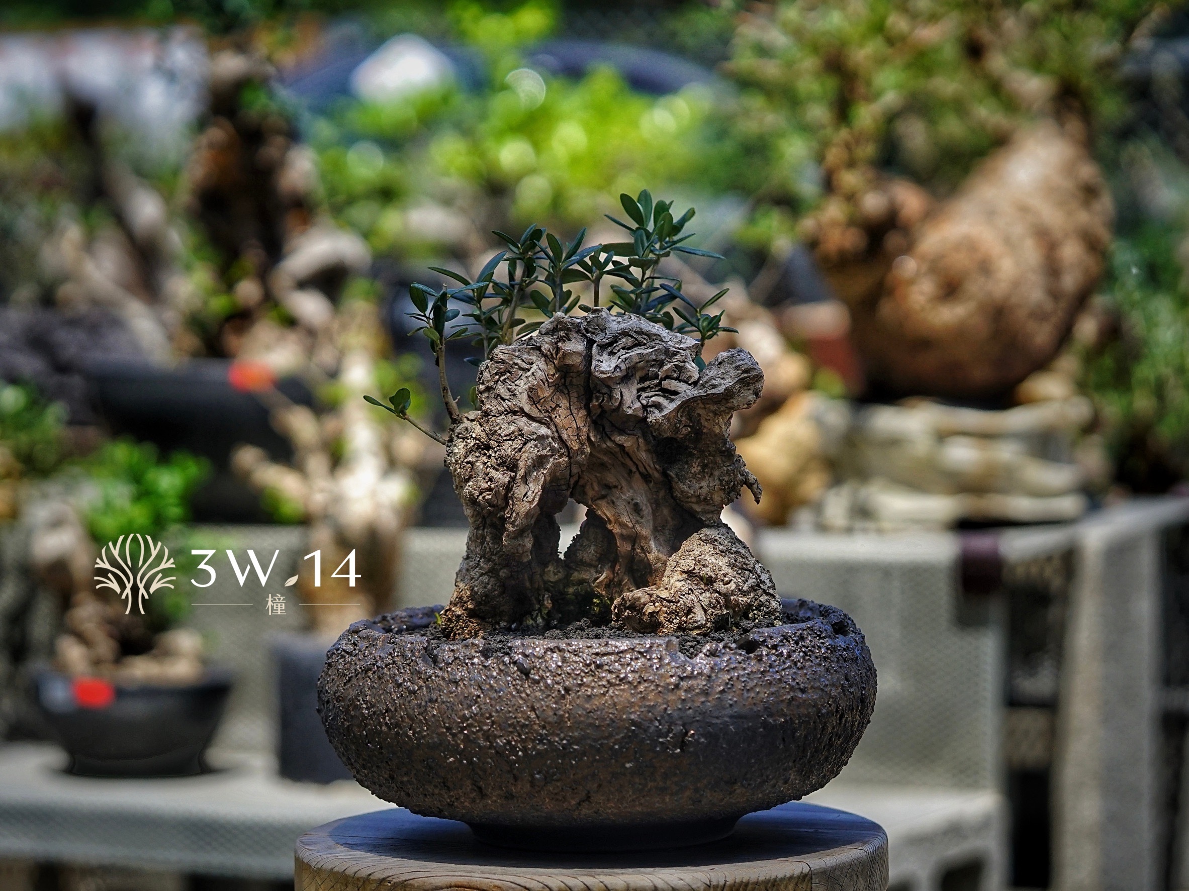 image_091F2F0D-9AC3-4B1F-94B1-3980E6FAD4DE_1778478655