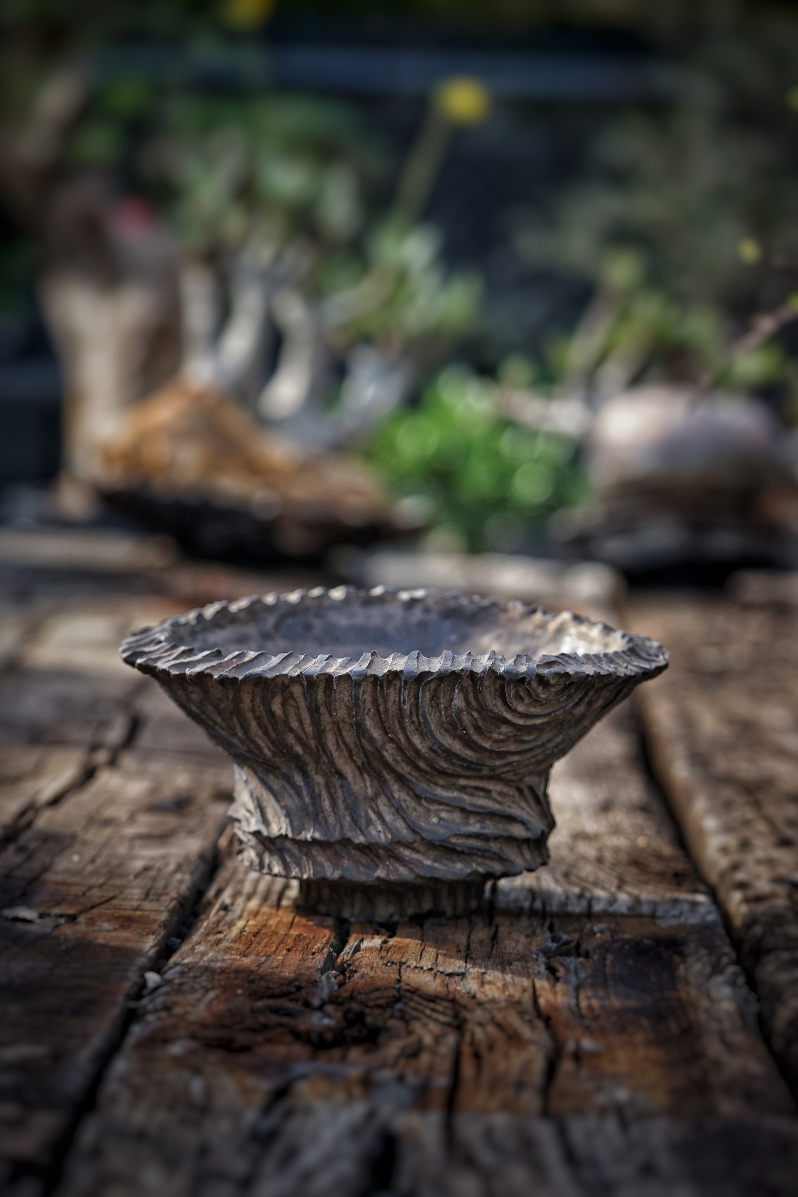 image_CA11FB41-8DE5-4920-B0D6-F35F78930BAF_1780040417