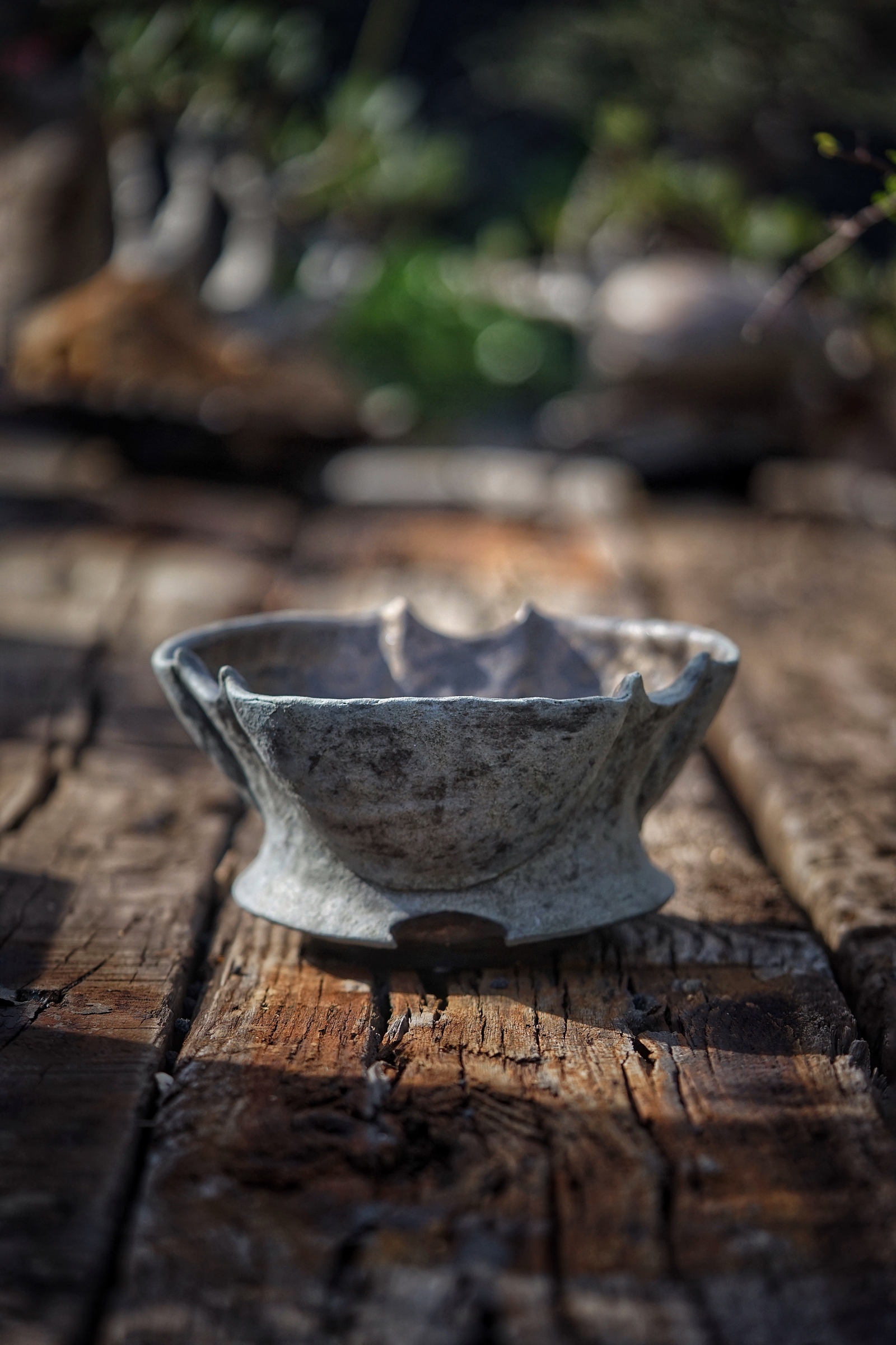 image_C4516B3F-FBFF-40F8-BF8A-22BF77F457FF_1780040732
