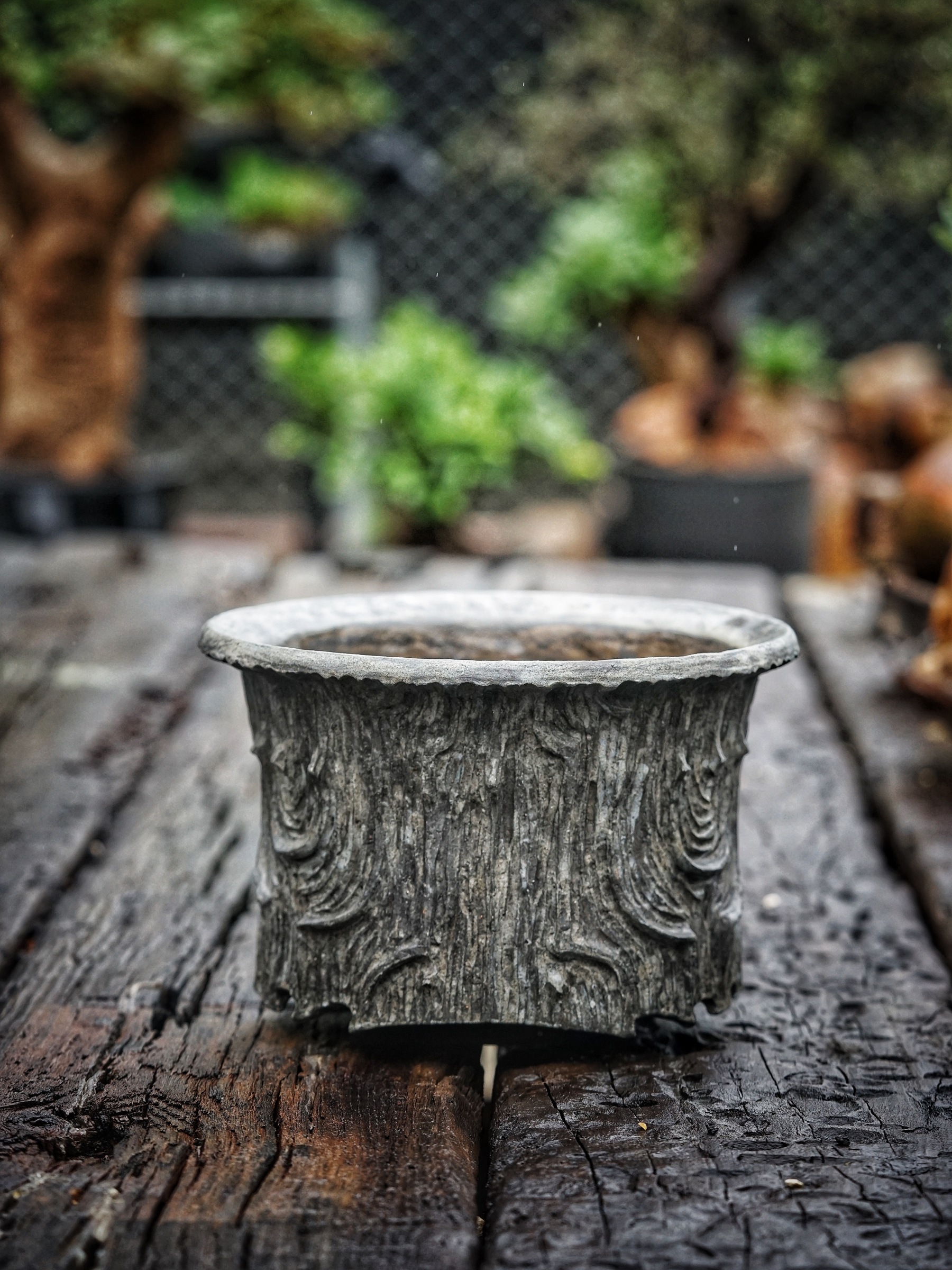 image_E7FE5E49-4545-4514-AA39-44CC945E4AD0_1781153514