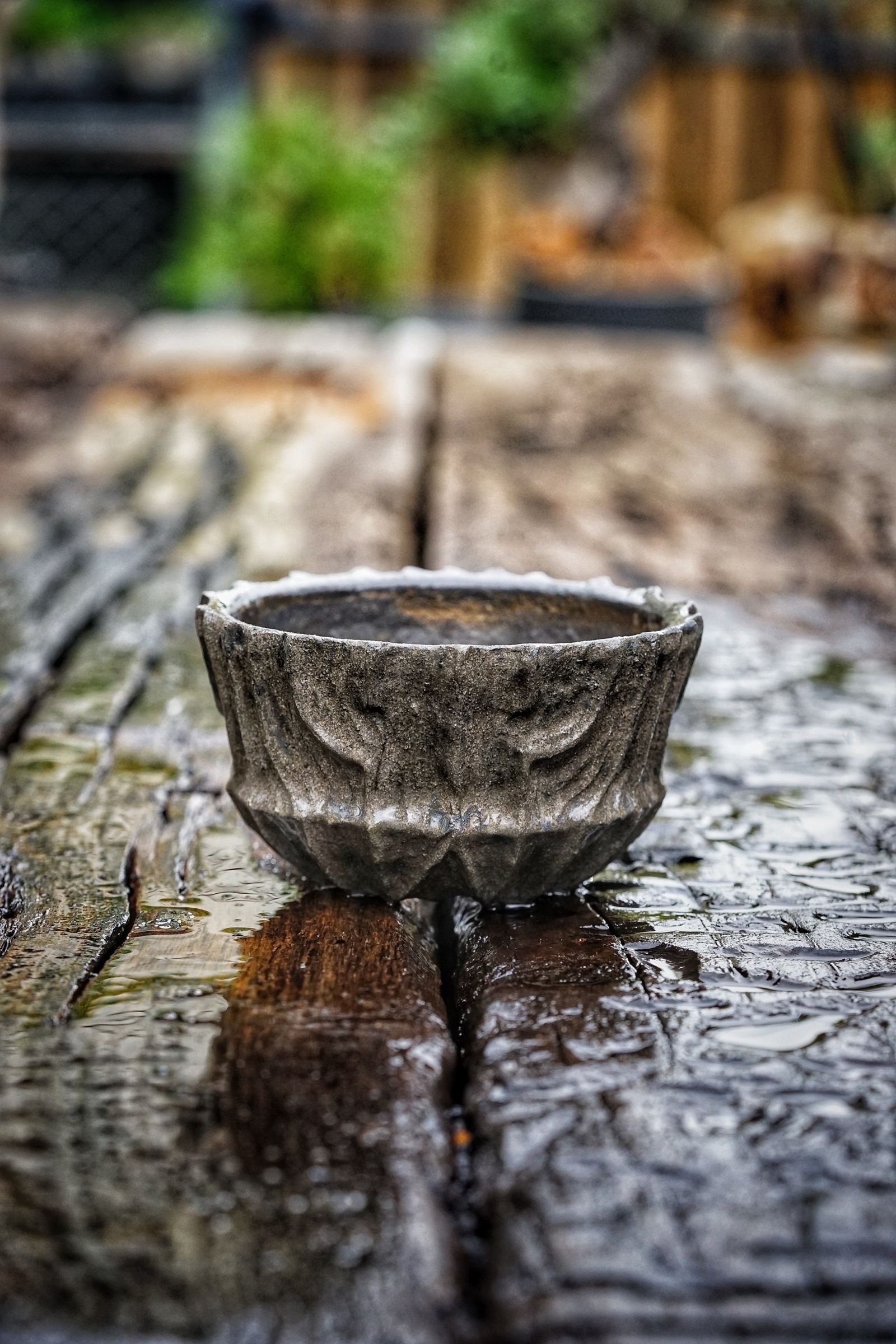 image_F67682E0-736E-49A7-AC60-D5794BA91AAD_1782455472