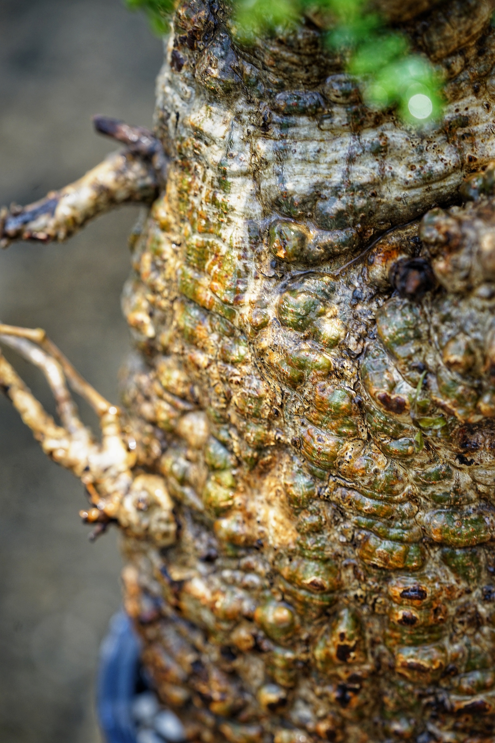 image_D0B21548-79DF-49A7-94C8-890A32257C98_1782809632