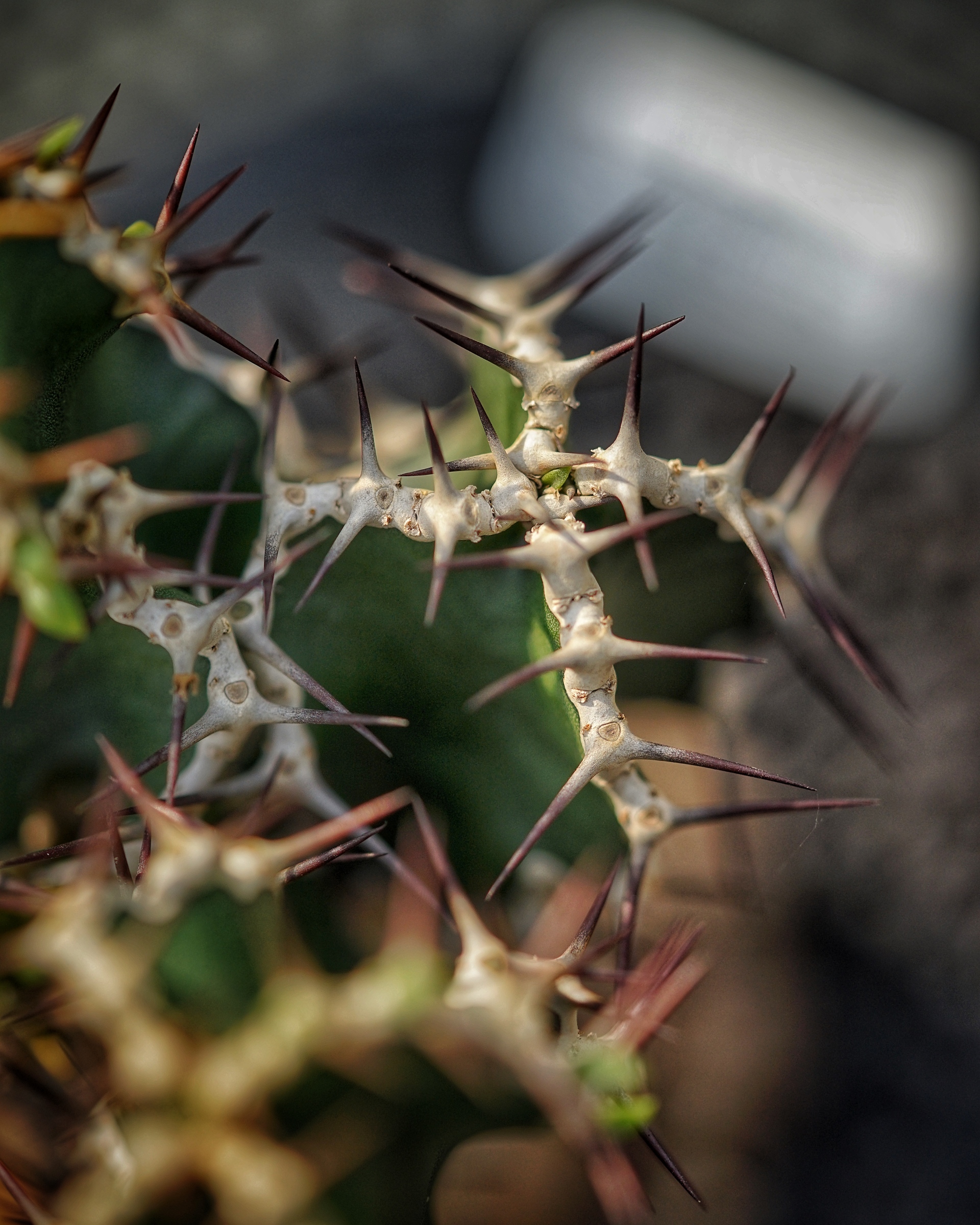 image_D4C526E9-5247-45C3-800F-6CDE4D83FBE0_1783409239