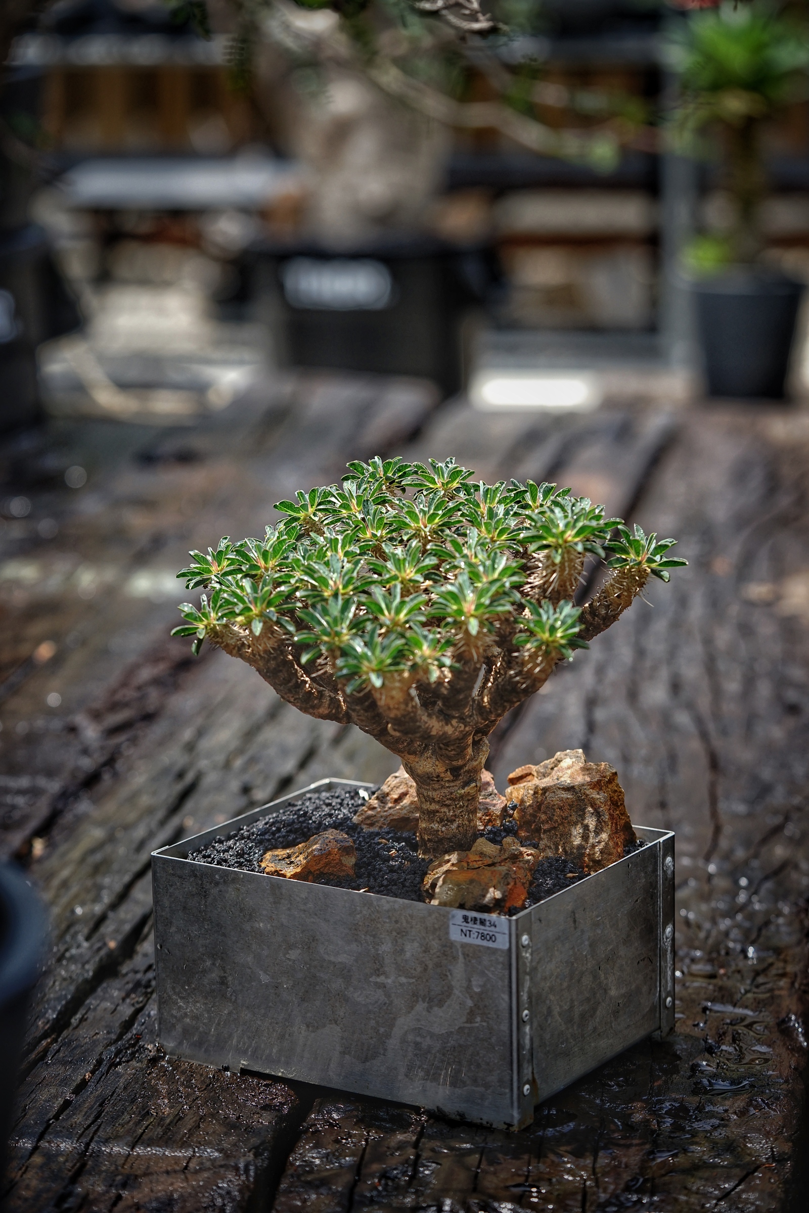 image_0383ABD8-017F-48AA-9C22-CEFF4D51772F_1784303835