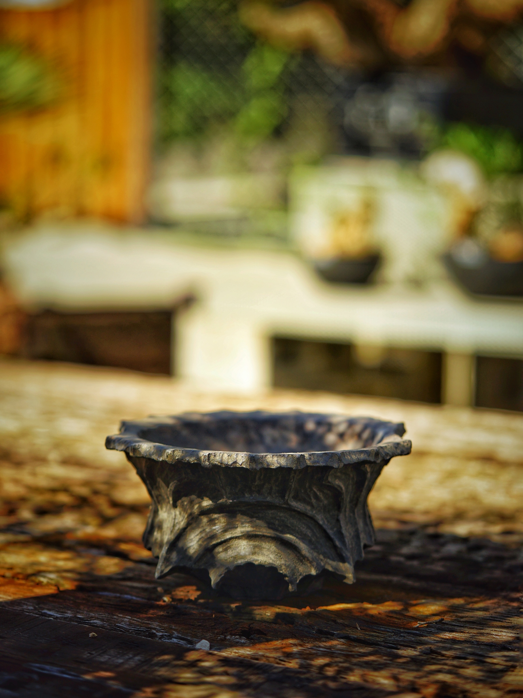 image_5D1478A2-FBBE-4DE9-B68D-C5A4062C9060_1784304799