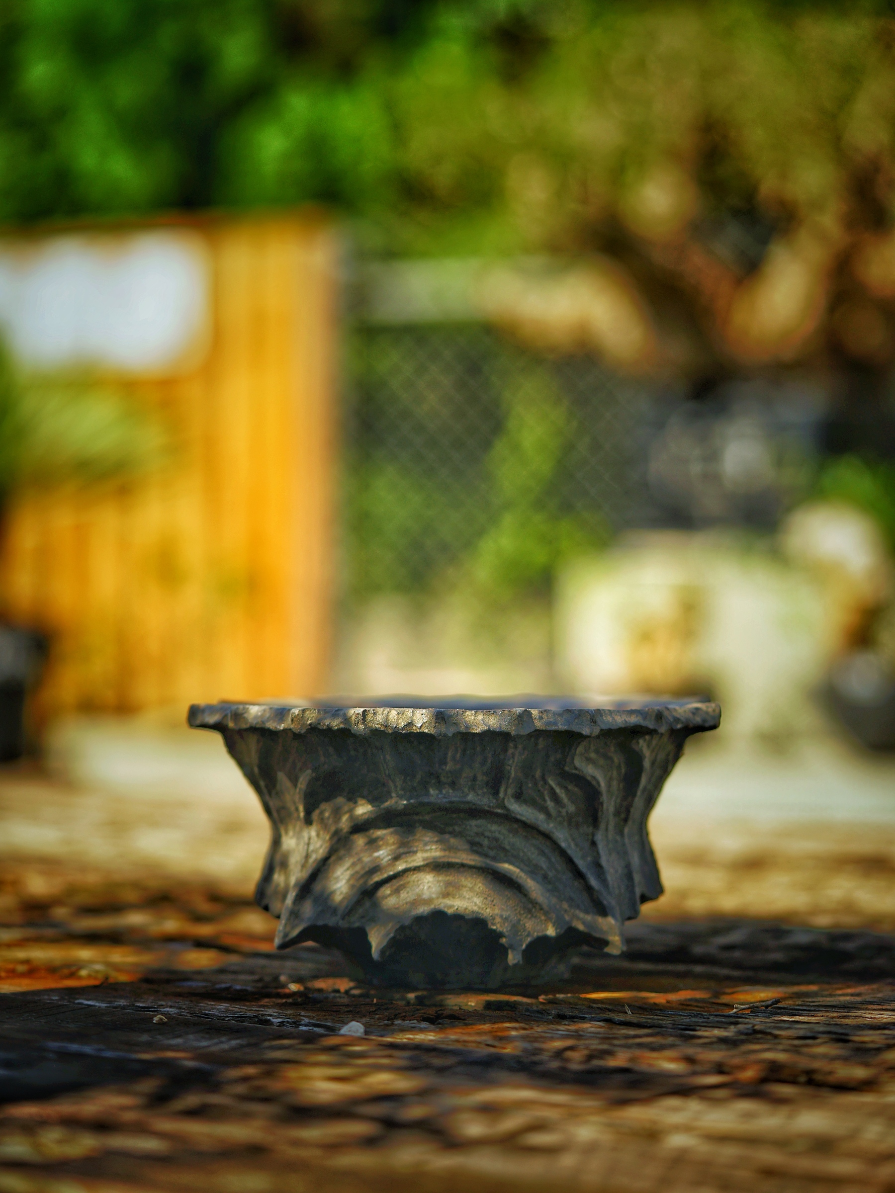 image_D7861FAD-5466-4887-A145-FBD6F4DDC2A6_1784304799