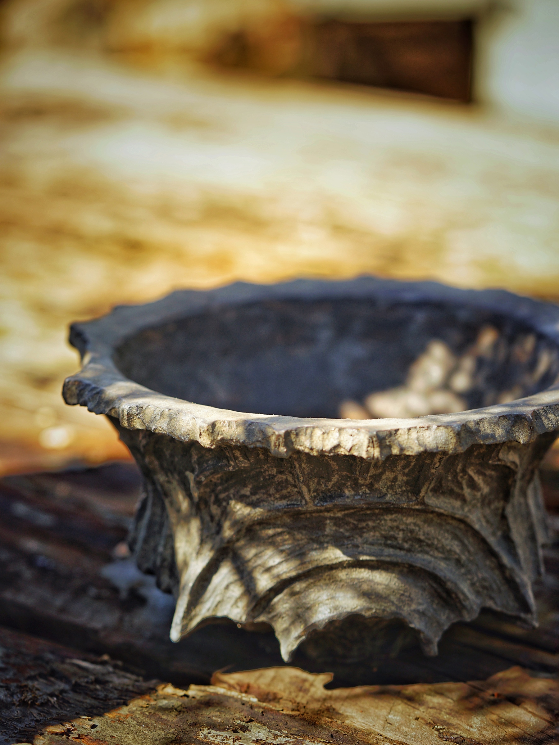 image_F7D56F86-1A86-4D67-8261-DDB5191A17FB_1784304799