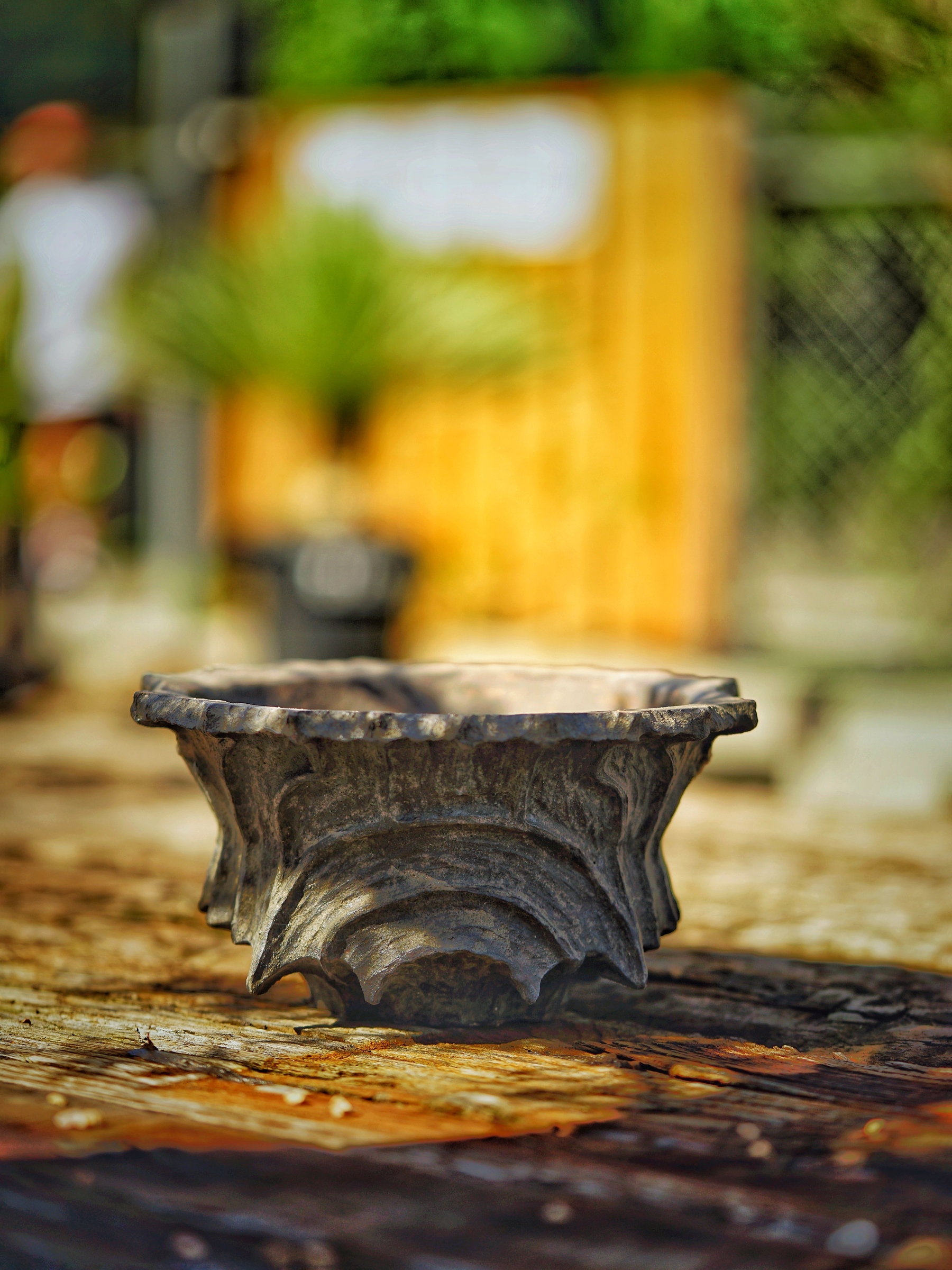 image_4D66EE6E-CF40-4383-8B58-19417D47B262_1784304799