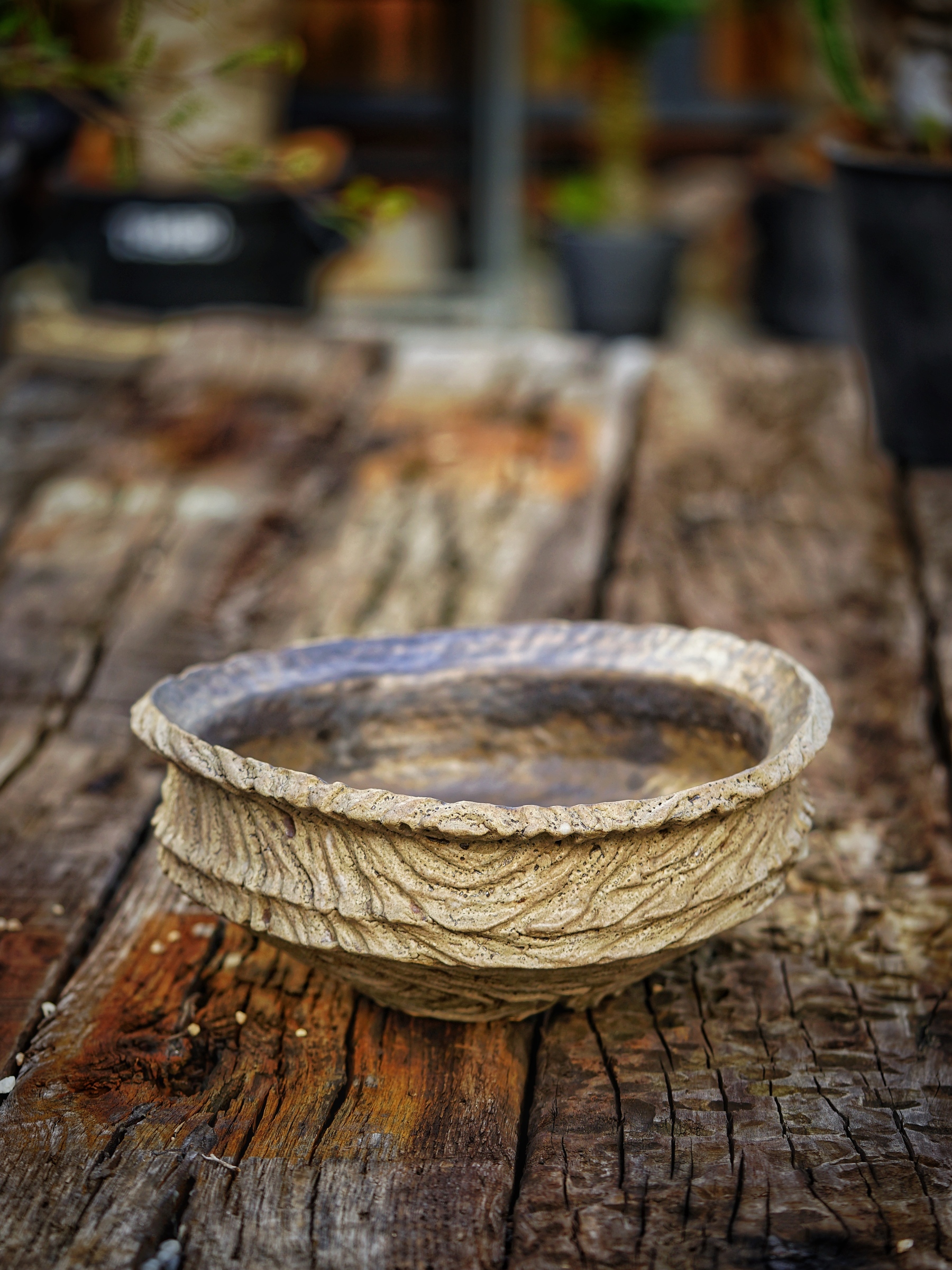 image_396FB5F7-866D-4503-AC22-413873D272C1_1784304912